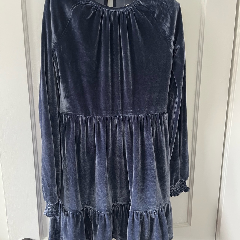 Crewcuts Navy Velvet Dress